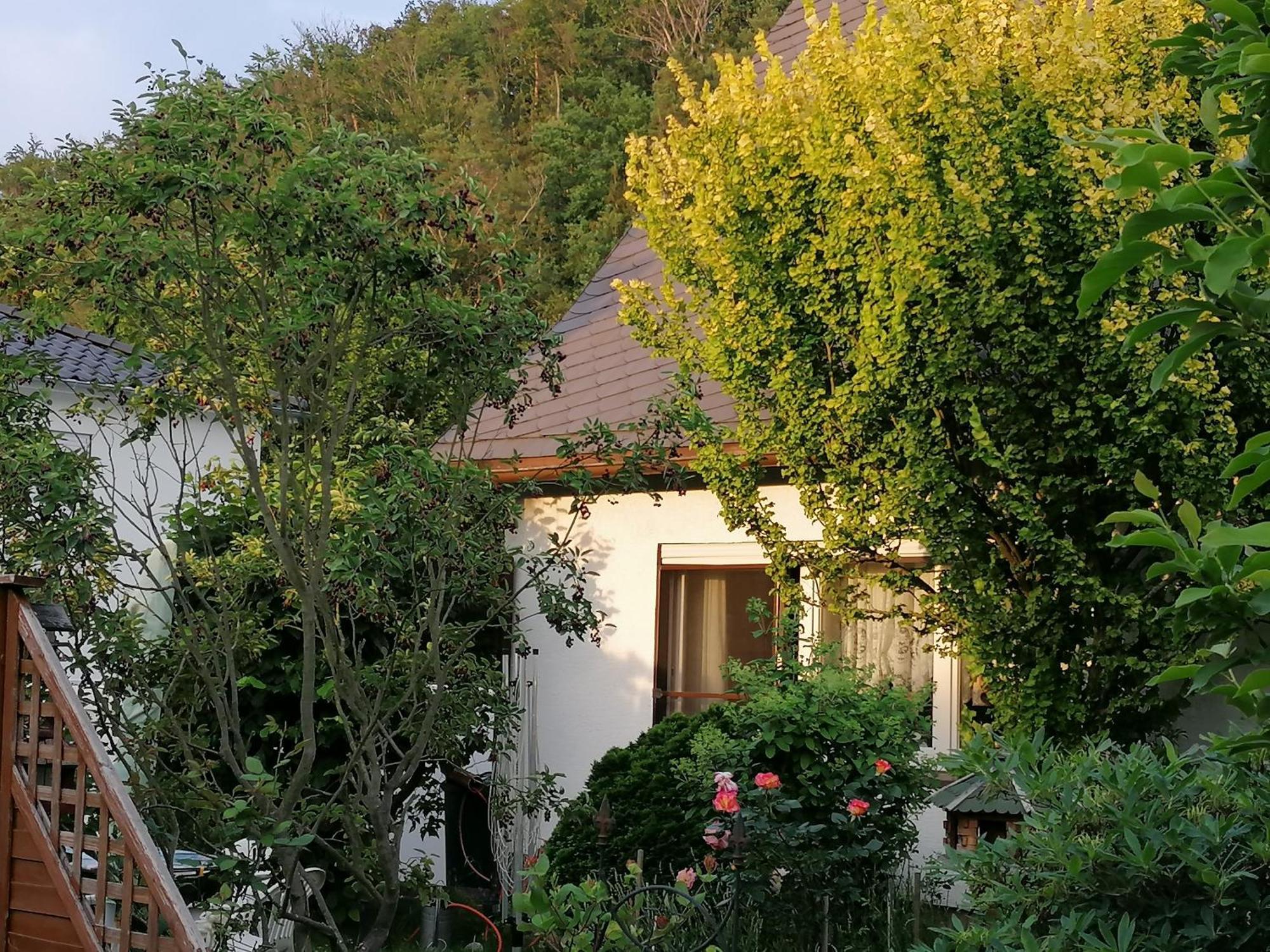 דירות פרייטל Haus Am Waldrand מראה חיצוני תמונה